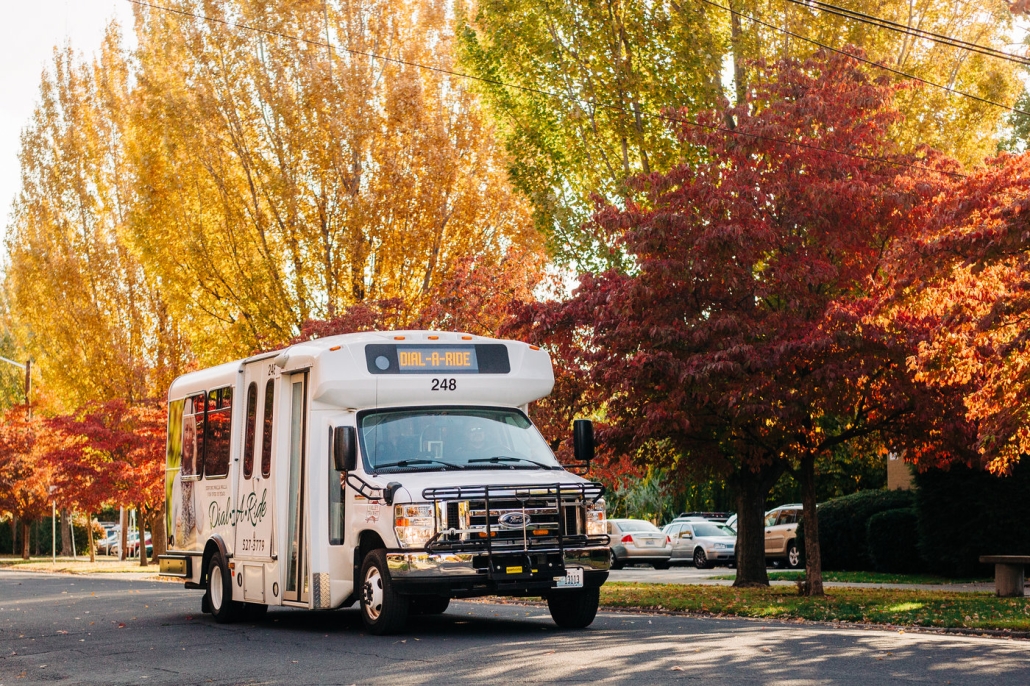 decorative image of bus